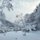 양평힐링계곡 오토캠핑장 | 캠핑장 추천 양평힐링계곡오토캠핑장 후기 가격 예약 찐 후기 리뷰