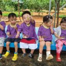 지훈농장 이미지