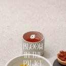 동화요리사A 이미지