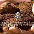 에코문화연구소 이미지
