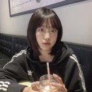 다미존