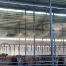 홍천군농업기술센터미생물센터 이미지