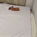 주식회사 디엠 | 돌침대 전용매트 몽글몽글함 느끼기 좋아 주식회사디엠일렉에서 구매 잘한 것 같네요.