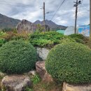 고제 소사마을회관 | 전남 별뫼산, 가학산, 흑석산, 호미동산 종주산행 1