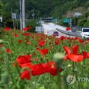 국도할인마트