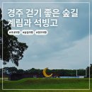 [경주 여행] 계림과 석빙고, 천년의 숲길을 걷다