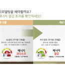 팔도샷시 이미지