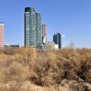 샛강역 4번 출입구 이미지