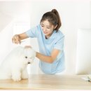 이로애견미용실 이미지