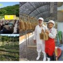 서원자동차정비공업사 이미지