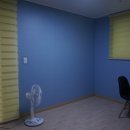 베네스트수 이미지