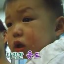 화사하다 이미지