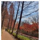 로드엠펜션 가족&단체&커플 이미지