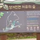 생거진천치유의숲 네이버블로그