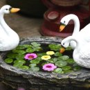 백조장식
