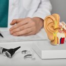 서초성모이비인후과의원 이미지