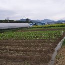 성은농장 이미지