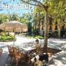 도그샵 | 스페인 바르셀로나 여행 후기 : 물가, 환전, 맛집과카페