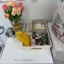 따봉컴퓨터 | 강아지 인생 샷 찍고 왔다 중랑구 애견사진관 “조군사진관” 방문 솔직 후기