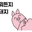 야나기참치 이미지