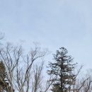 합천군청(제2청사) | 합천 여행 " 해인사" "적사부"