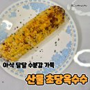 산물 | 산물 초당옥수수 후기 생으로 먹어도 달달한 초당옥수수 추천