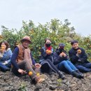 야베스농장 이미지