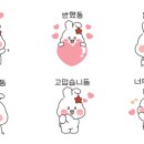겸동이스토어