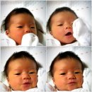 (주)호영 이미지