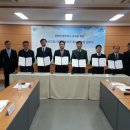 그린시티 이미지