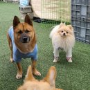 산책가까 이미지