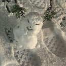 오바마 연탄구이 이미지