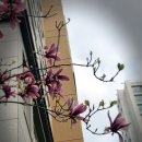 성남 연가츠&amp;위례 미아리우동 ft.디폼블럭, 시그니피컨트 우먼 행동 점검