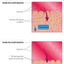 성하농장 | 파컨 초안