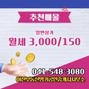 부동산명가공인중개사사무소 이미지