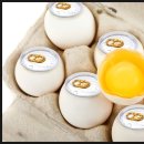 디모풋앤바디 이미지