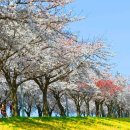 양양군 야구장 이미지