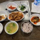 한솔밥상 | 성대시장 맛집 한솔웰빙쌈시골보리밥, 든든하게 한 끼 먹고 온 후기