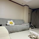 메트로펫 이미지