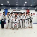 베스트 금빛 태권도장 이미지