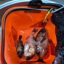 목과바다펜션민박 이미지