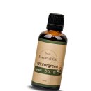 (주)윈터그린 이미지