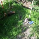 유성궁도장 이미지