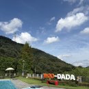 우다다 펫택시 이미지