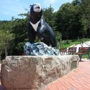 영원7주유소 이미지