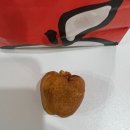 소나무휴게소 | [휴게소 탐방] 충주휴게소 상행 볼거리와 먹거리, 충주 사과빵 직접 먹어본 후기