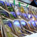 평촌로데오 이미지