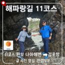양동마을 버스정류소 | 경주 가볼만한곳 해파랑길 11코스 완주기! 문무대왕릉부터 전촌용굴까지 기본정보 총정리
