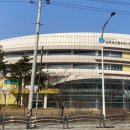 인천도매정육