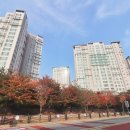 파랑새부동산중개사무소 이미지